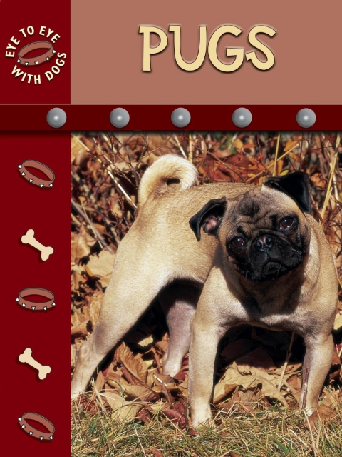 Cover image for book Pug
