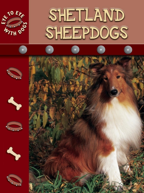 Cover image for book Shetland Sheepdogs