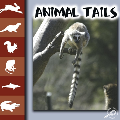 Cover image for book Animal Tails