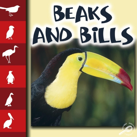 Cover image for book Beaks and Bills