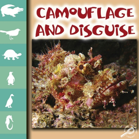 Cover image for book Camouflage and Disguise