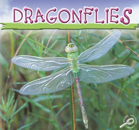 Cover image for book Dragonflies