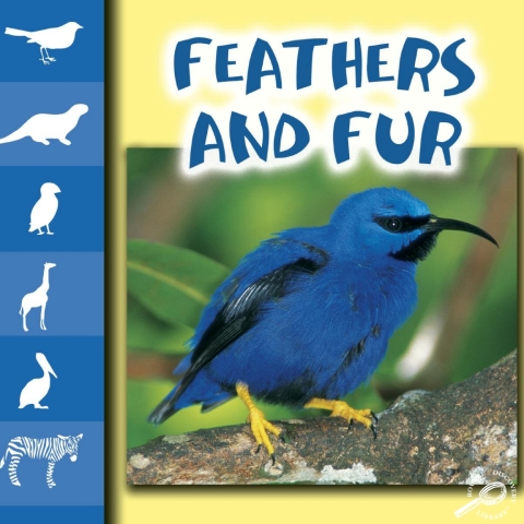 Cover image for book Feathers and Fur