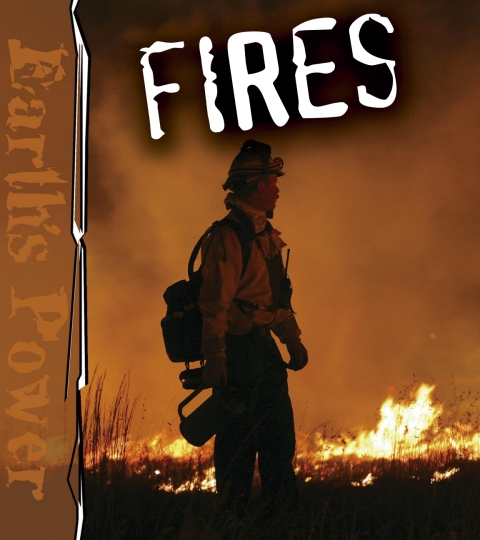 Cover image for book Fires