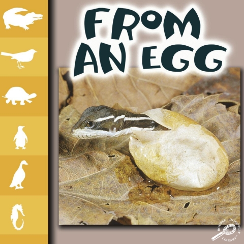 Cover image for book From An Egg