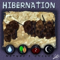 Hibernation - Mel Higginson