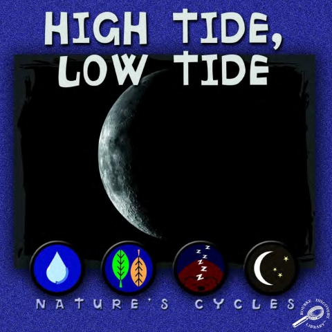 Cover image for book High Tide, Low Tide