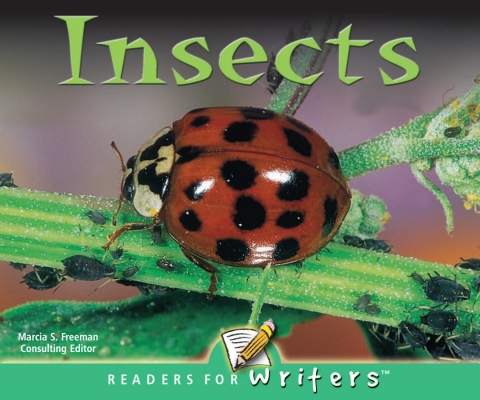 Cover image for book Insects