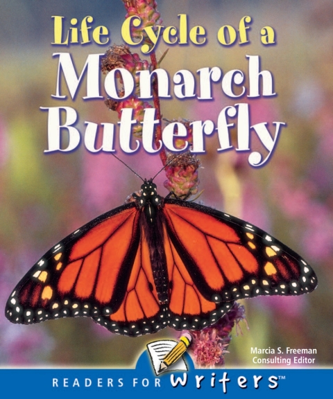 Cover image for book Life Cycle of A Monarch Butterfly