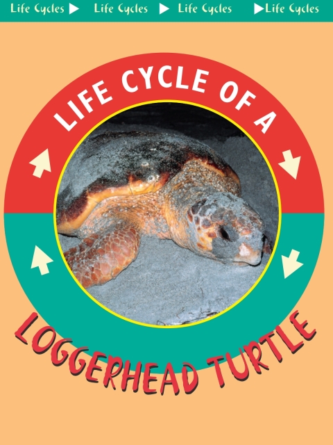 Cover image for book Loggerhead Turtle