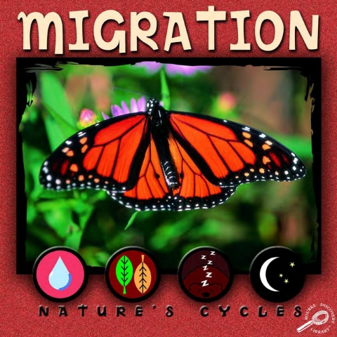 Cover image for book Migration