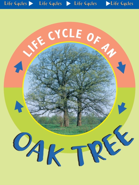 Cover image for book Oak Tree