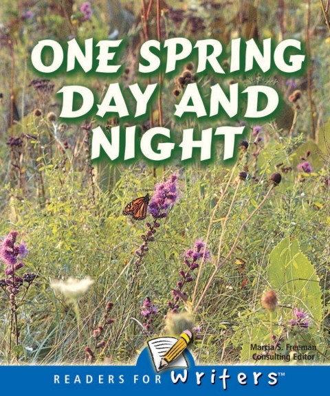 Cover image for book One Spring Day and Night