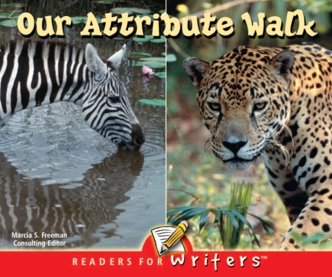 Cover image for book Our Attribute Walk