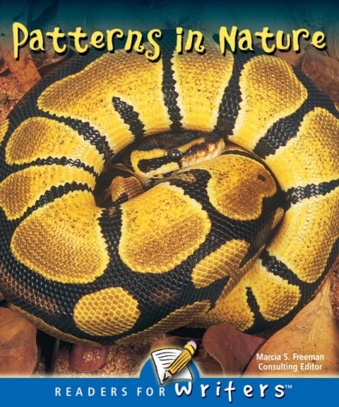 Cover image for book Patterns In Nature