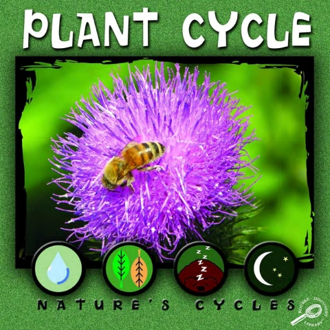 Cover image for book Plant Cycle