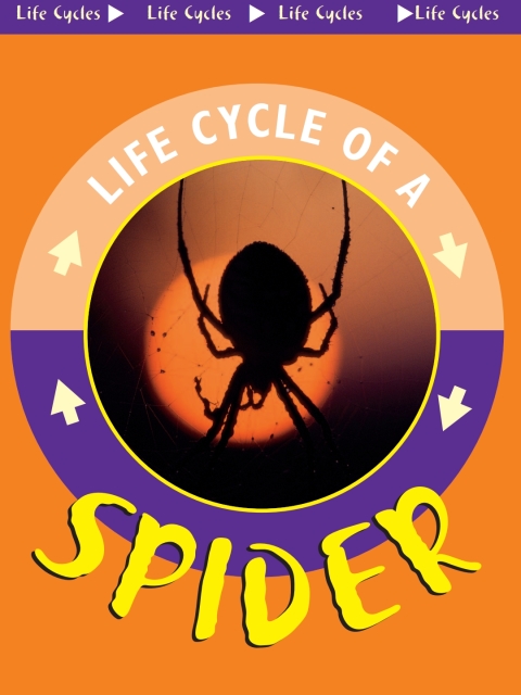 Cover image for book Spider