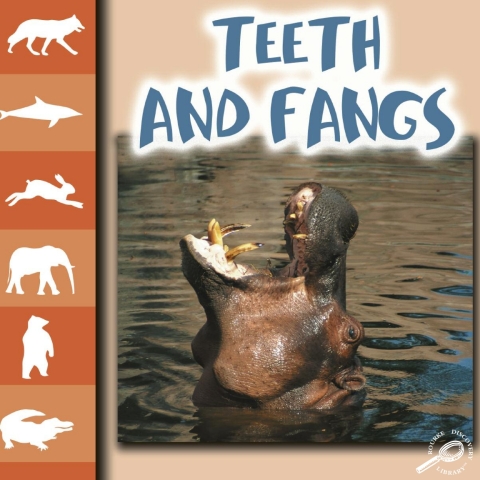 Cover image for book Teeth and Fangs