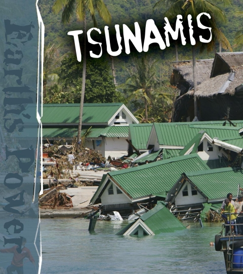 Cover image for book Tsunamis