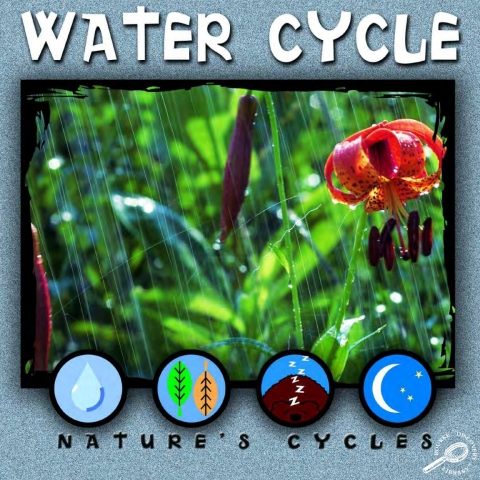 Cover image for book Water Cycle