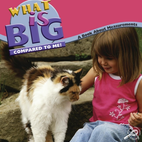 Cover image for book What Is Big Compared To Me?