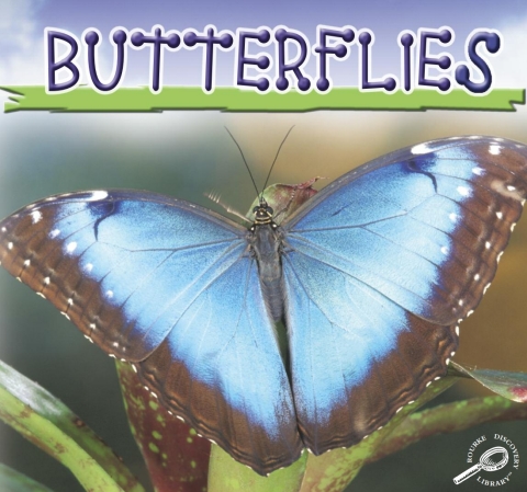 Cover image for book Butterflies