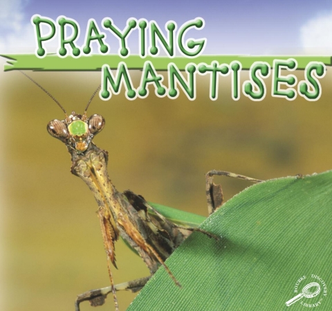 Cover image for book Praying Mantises