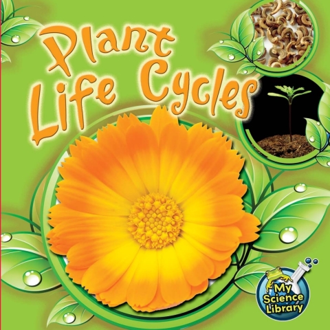 Cover image for book Plant Life Cycles