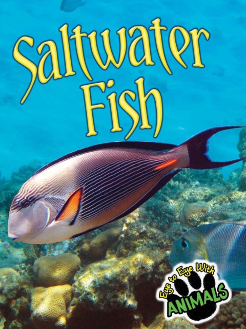 Cover image for book Saltwater Fish