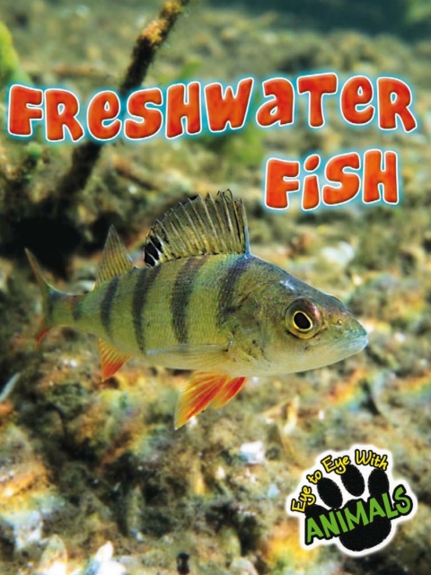 Cover image for book Freshwater Fish