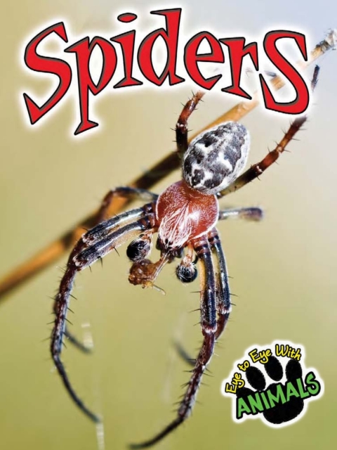 Cover image for book Spiders