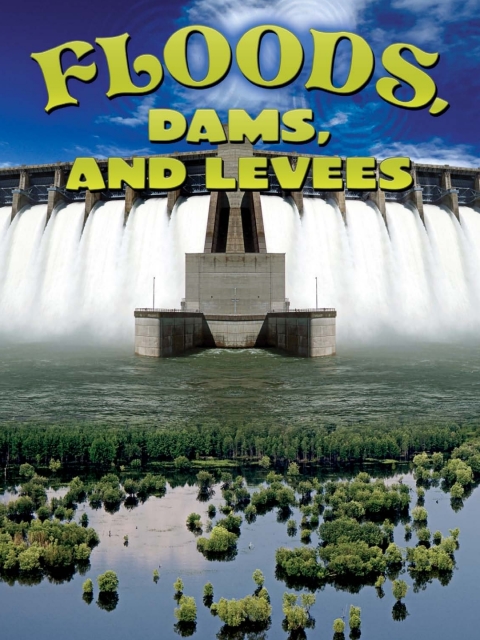 Cover image for book Floods, Dams, and Levees