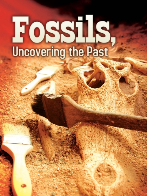 Cover image for book Fossils