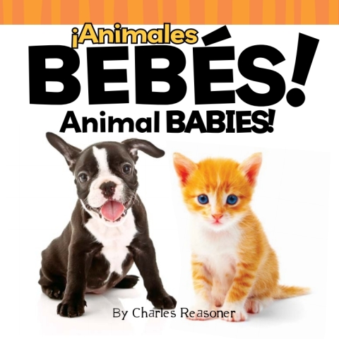 Cover image for book ¡Animales bebés!