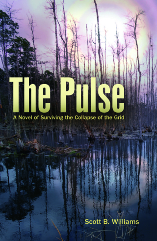 The Pulse