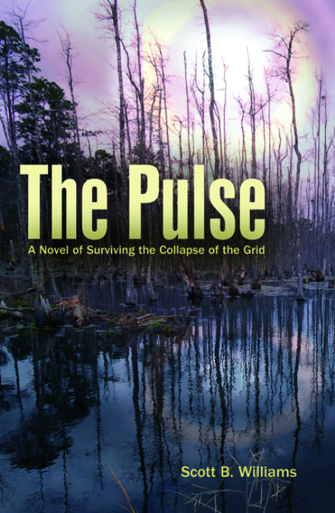 Cover image for book The Pulse