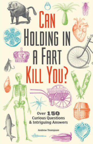 Can Holding in a Fart Kill You?