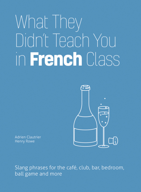 Cover image for book What They Didn't Teach You in French Class