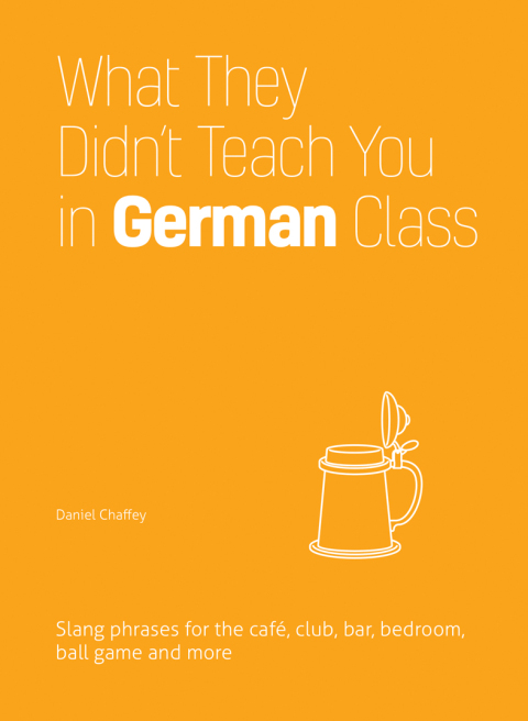 Cover image for book What They Didn't Teach You in German Class