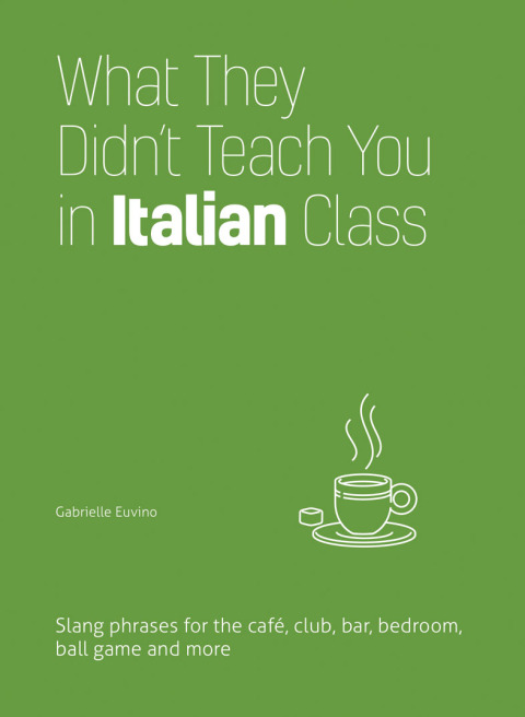 Cover image for book What They Didn't Teach You in Italian Class