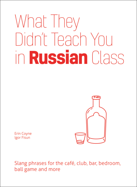 Cover image for book What They Didn't Teach You in Russian Class