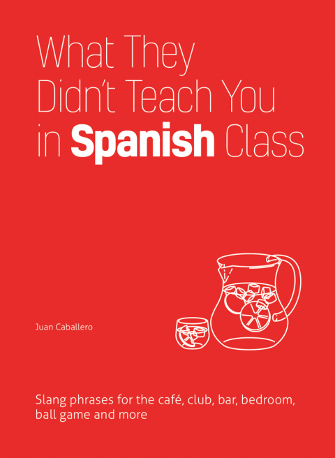 Cover image for book What They Didn't Teach You in Spanish Class