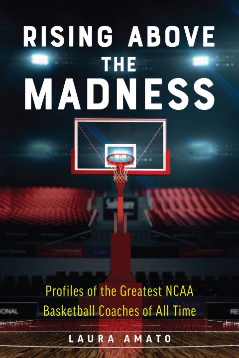 Cover image for book Rising Above the Madness