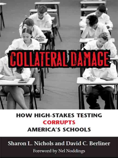 Cover image for book Collateral Damage