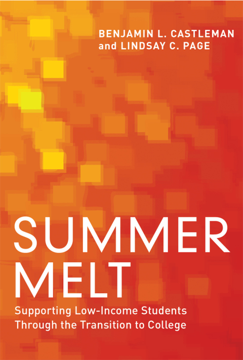 Cover image for book Summer Melt