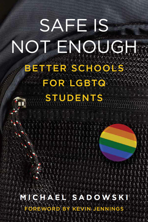 Cover image for book Safe Is Not Enough