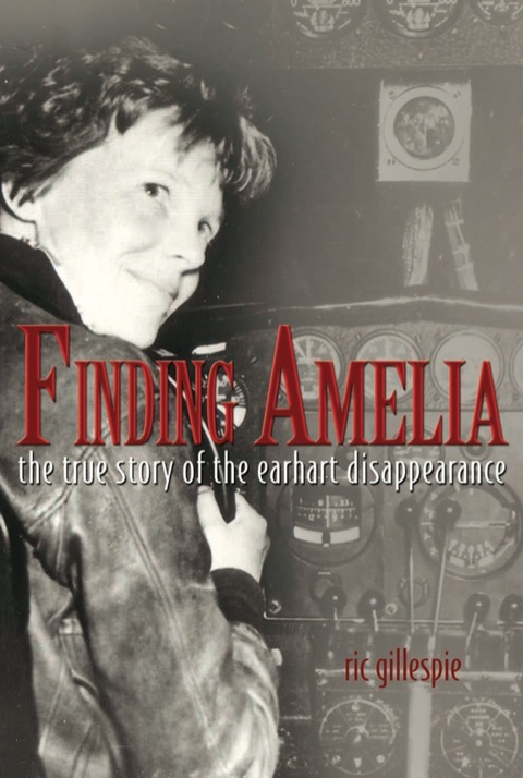 Cover image for book Finding Amelia
