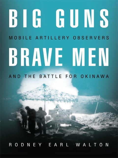 Cover image for book Big Guns, Brave Men