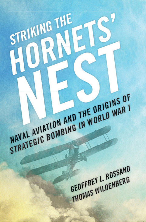Cover image for book Striking the Hornets' Nest