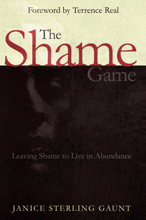 Cover image for book The Shame Game